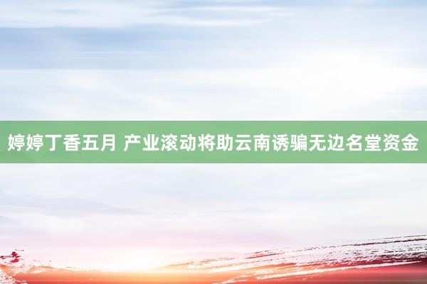 婷婷丁香五月 产业滚动将助云南诱骗无边名堂资金