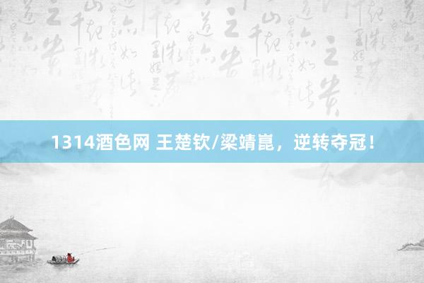1314酒色网 王楚钦/梁靖崑，逆转夺冠！