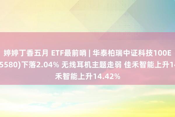 婷婷丁香五月 ETF最前哨 | 华泰柏瑞中证科技100ETF(515580)下落2.04% 无线耳机主题走弱 佳禾智能上升14.42%