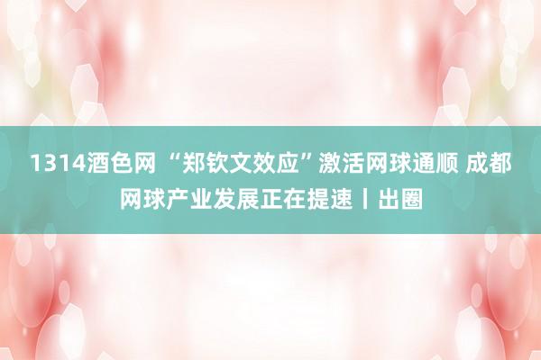 1314酒色网 “郑钦文效应”激活网球通顺 成都网球产业发展正在提速丨出圈