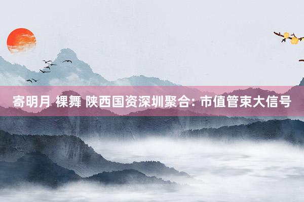 寄明月 裸舞 陕西国资深圳聚合: 市值管束大信号