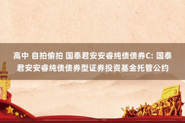 高中 自拍偷拍 国泰君安安睿纯债债券C: 国泰君安安睿纯债债券型证券投资基金托管公约