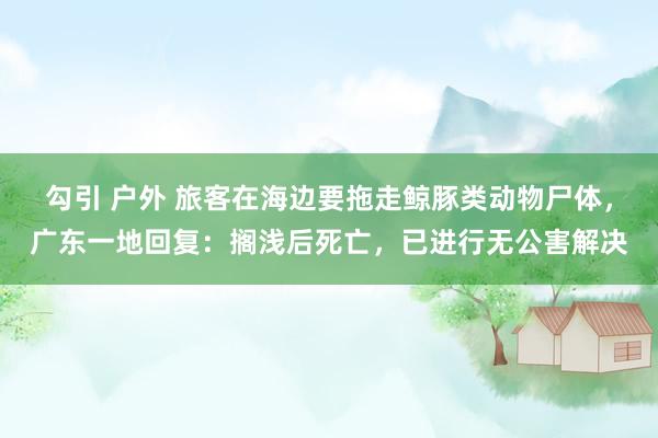 勾引 户外 旅客在海边要拖走鲸豚类动物尸体，广东一地回复：搁浅后死亡，已进行无公害解决