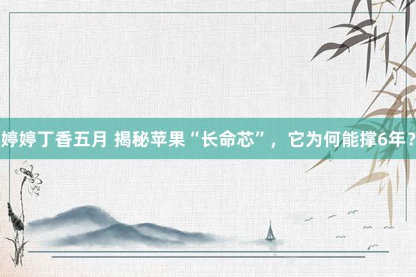 婷婷丁香五月 揭秘苹果“长命芯”，它为何能撑6年？