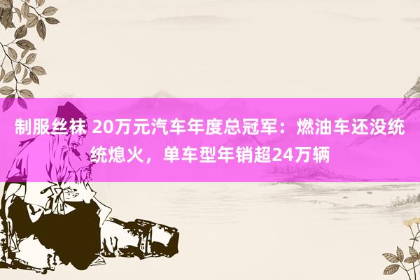 制服丝袜 20万元汽车年度总冠军：燃油车还没统统熄火，单车型年销超24万辆