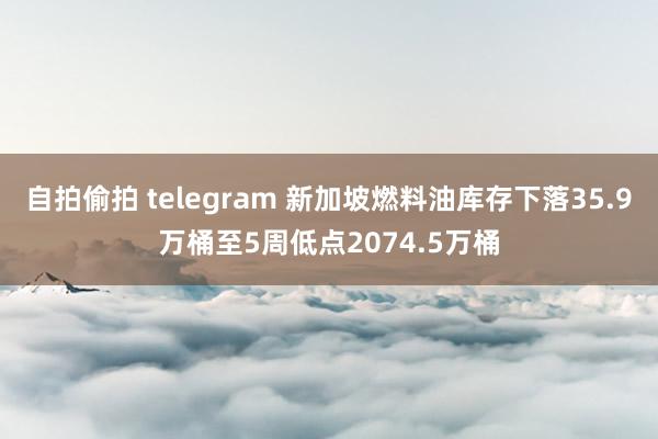 自拍偷拍 telegram 新加坡燃料油库存下落35.9万桶至5周低点2074.5万桶
