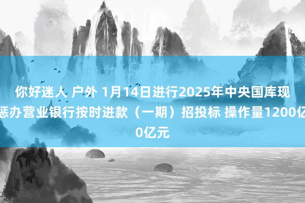 你好迷人 户外 1月14日进行2025年中央国库现款惩办营业银行按时进款（一期）招投标 操作量1200亿元