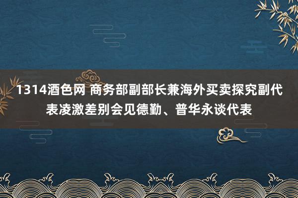 1314酒色网 商务部副部长兼海外买卖探究副代表凌激差别会见德勤、普华永谈代表