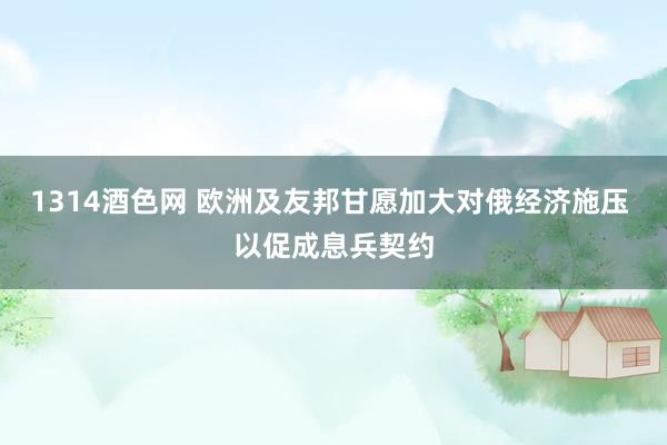 1314酒色网 欧洲及友邦甘愿加大对俄经济施压 以促成息兵契约
