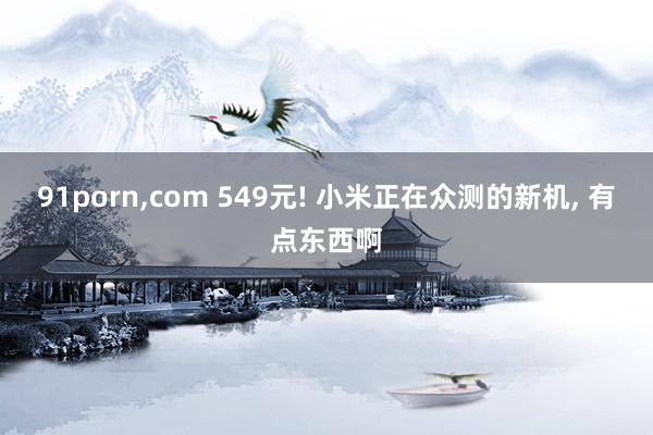 91porn，com 549元! 小米正在众测的新机， 有点东西啊