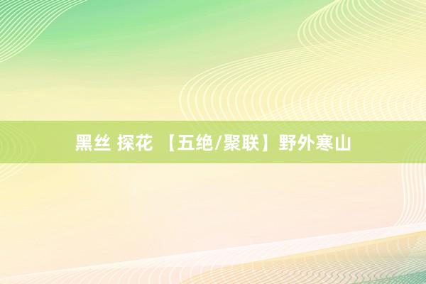 黑丝 探花 【五绝/聚联】野外寒山