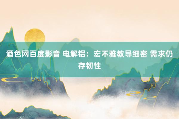 酒色网百度影音 电解铝：宏不雅教导细密 需求仍存韧性