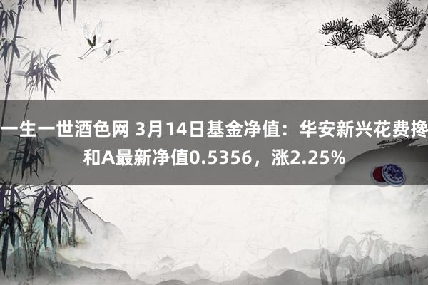 一生一世酒色网 3月14日基金净值：华安新兴花费搀和A最新净值0.5356，涨2.25%