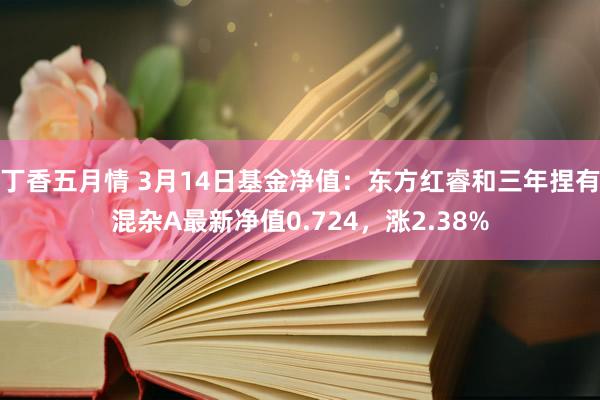 丁香五月情 3月14日基金净值：东方红睿和三年捏有混杂A最新净值0.724，涨2.38%