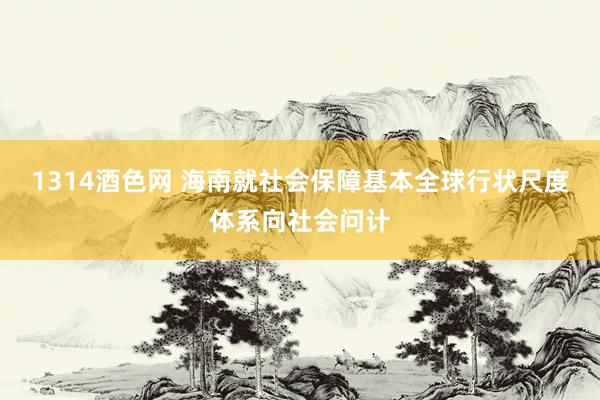 1314酒色网 海南就社会保障基本全球行状尺度体系向社会问计