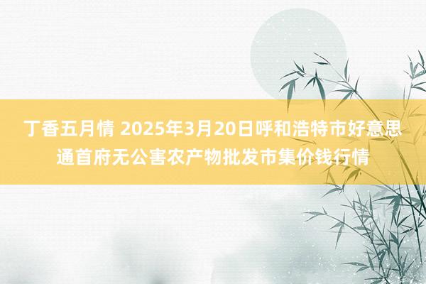 丁香五月情 2025年3月20日呼和浩特市好意思通首府无公害农产物批发市集价钱行情