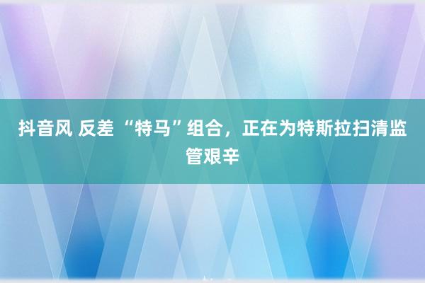 抖音风 反差 “特马”组合，正在为特斯拉扫清监管艰辛