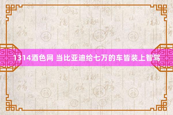 1314酒色网 当比亚迪给七万的车皆装上智驾