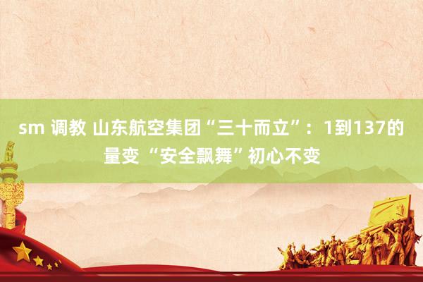 sm 调教 山东航空集团“三十而立”：1到137的量变 “安全飘舞”初心不变