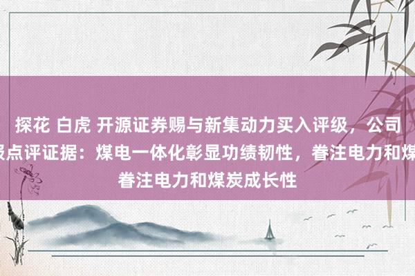 探花 白虎 开源证券赐与新集动力买入评级，公司2024年报点评证据：煤电一体化彰显功绩韧性，眷注电力和煤炭成长性