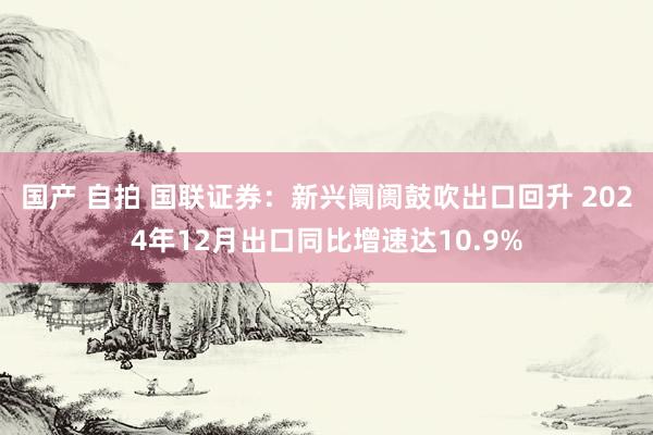 国产 自拍 国联证券：新兴阛阓鼓吹出口回升 2024年12月出口同比增速达10.9%