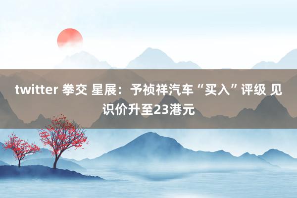 twitter 拳交 星展：予祯祥汽车“买入”评级 见识价升至23港元
