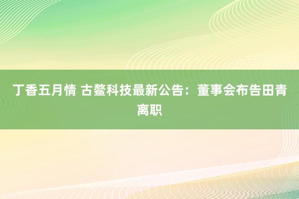 丁香五月情 古鳌科技最新公告：董事会布告田青离职