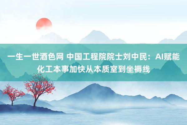 一生一世酒色网 中国工程院院士刘中民：AI赋能化工本事加快从本质室到坐褥线