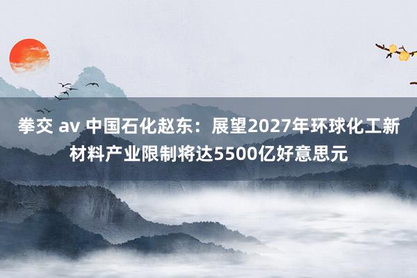 拳交 av 中国石化赵东：展望2027年环球化工新材料产业限制将达5500亿好意思元