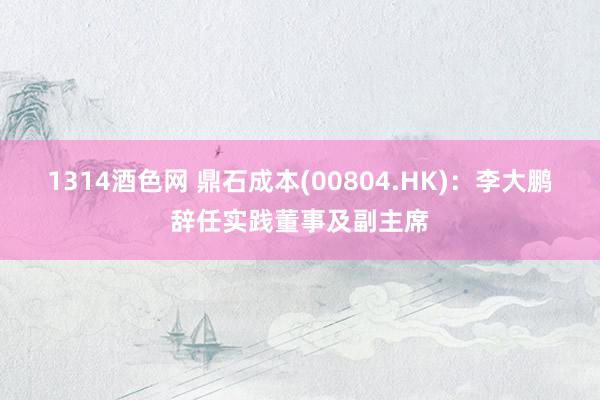 1314酒色网 鼎石成本(00804.HK)：李大鹏辞任实践董事及副主席