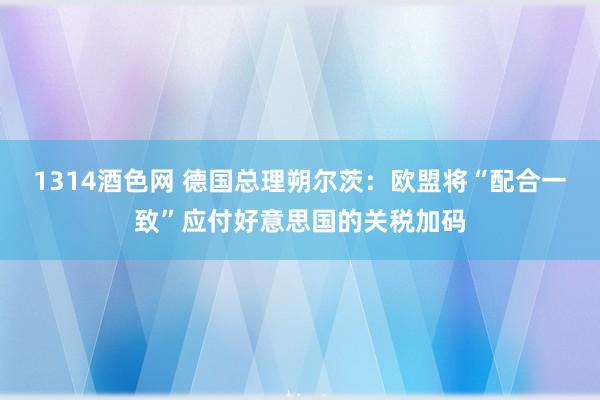 1314酒色网 德国总理朔尔茨：欧盟将“配合一致”应付好意思国的关税加码