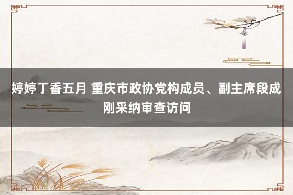 婷婷丁香五月 重庆市政协党构成员、副主席段成刚采纳审查访问