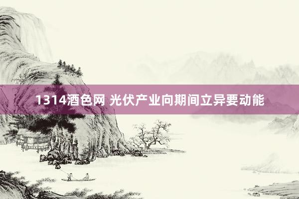 1314酒色网 光伏产业向期间立异要动能