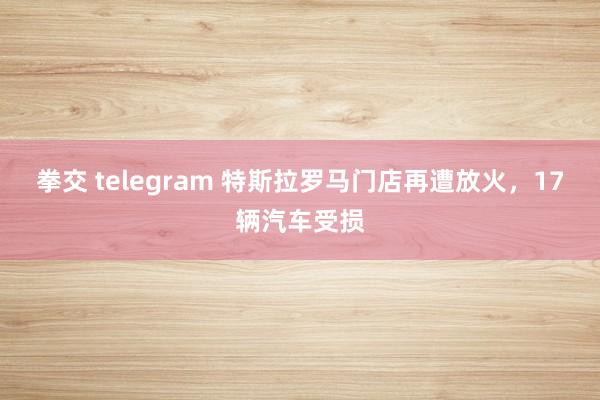拳交 telegram 特斯拉罗马门店再遭放火，17辆汽车受损