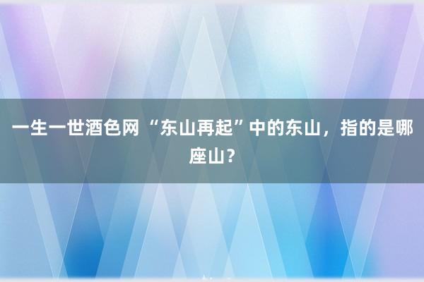 一生一世酒色网 “东山再起”中的东山，指的是哪座山？