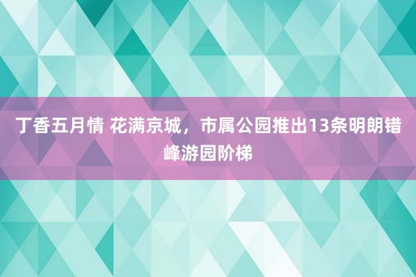 丁香五月情 花满京城，市属公园推出13条明朗错峰游园阶梯