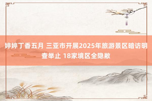 婷婷丁香五月 三亚市开展2025年旅游景区暗访明查举止 18家境区全隐敝