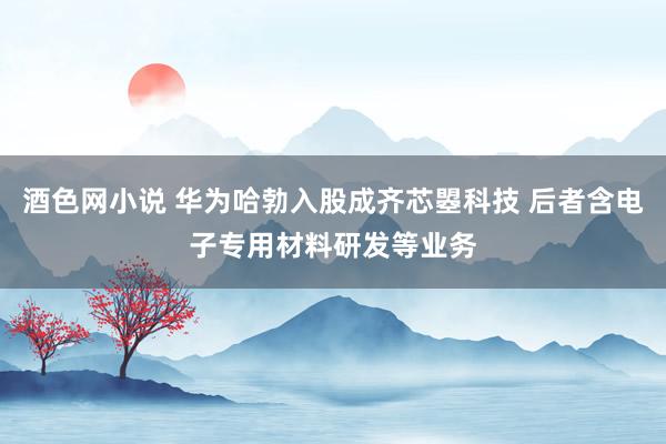 酒色网小说 华为哈勃入股成齐芯曌科技 后者含电子专用材料研发等业务