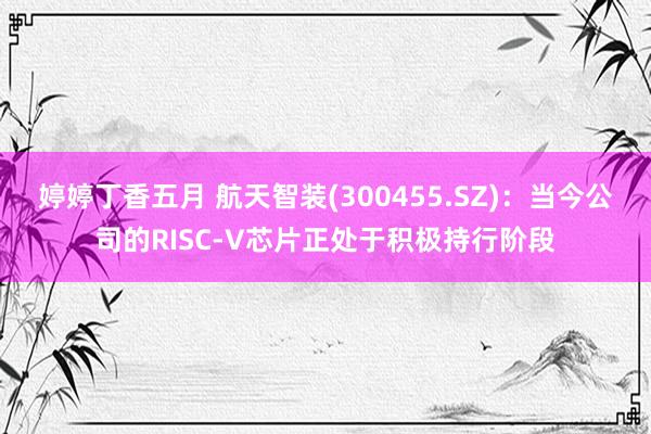 婷婷丁香五月 航天智装(300455.SZ)：当今公司的RISC-V芯片正处于积极持行阶段
