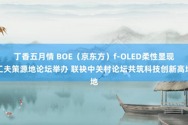 丁香五月情 BOE（京东方）f-OLED柔性显现工夫策源地论坛举办 联袂中关村论坛共筑科技创新高地