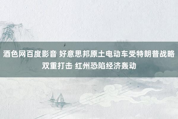 酒色网百度影音 好意思邦原土电动车受特朗普战略双重打击 红州恐陷经济轰动