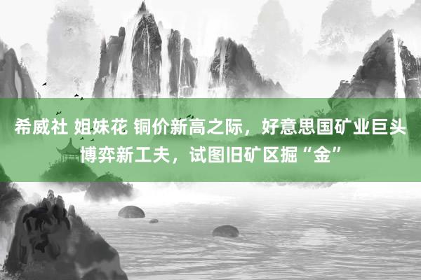 希威社 姐妹花 铜价新高之际，好意思国矿业巨头博弈新工夫，试图旧矿区掘“金”
