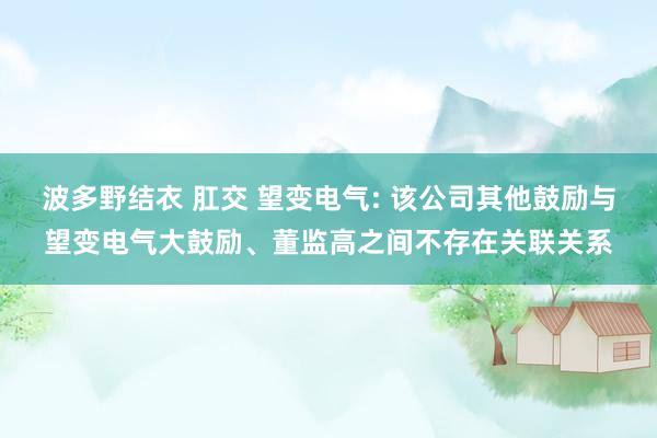 波多野结衣 肛交 望变电气: 该公司其他鼓励与望变电气大鼓励、董监高之间不存在关联关系