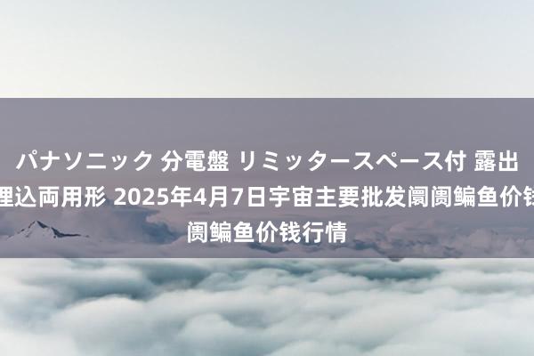 パナソニック 分電盤 リミッタースペース付 露出・半埋込両用形 2025年4月7日宇宙主要批发阛阓鳊鱼价钱行情
