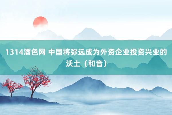 1314酒色网 中国将弥远成为外资企业投资兴业的沃土（和音）