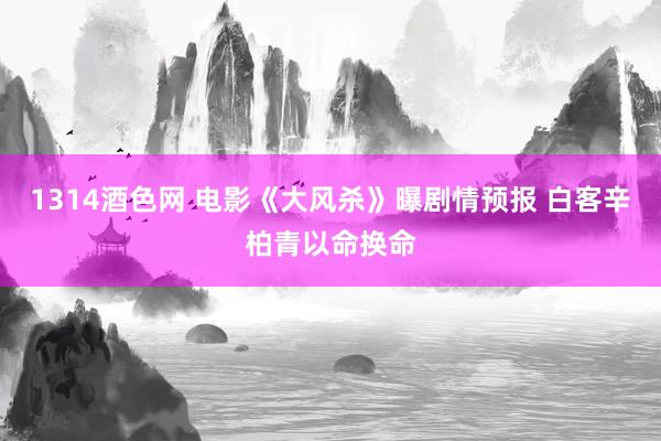 1314酒色网 电影《大风杀》曝剧情预报 白客辛柏青以命换命