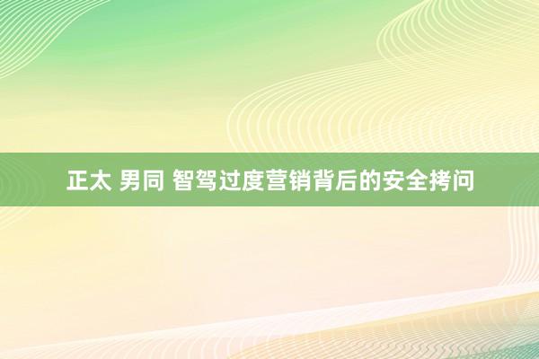 正太 男同 智驾过度营销背后的安全拷问