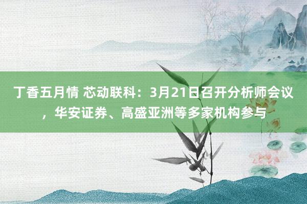丁香五月情 芯动联科：3月21日召开分析师会议，华安证券、高盛亚洲等多家机构参与