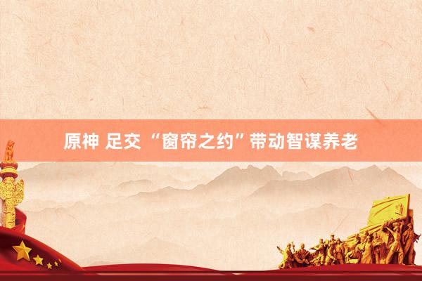 原神 足交 “窗帘之约”带动智谋养老
