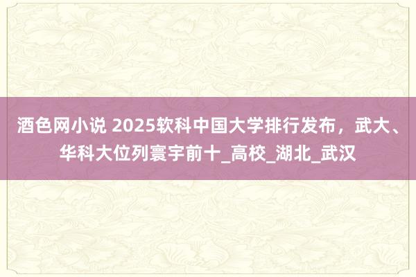 酒色网小说 2025软科中国大学排行发布，武大、华科大位列寰宇前十_高校_湖北_武汉
